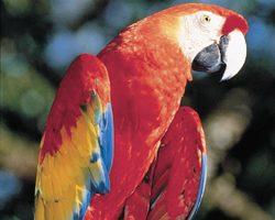 60寸DLP拼接屏(UHP單燈)