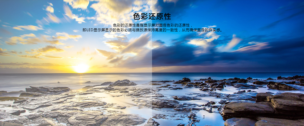 1647673176138519.jpg 色彩還原性_副本.jpg